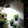 Clip-On Solar Wall Light with Motion Sensor Outdoor Patio Study Light Auto-On at Night Solar Lamp