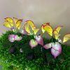 Outdoor Waterproof Garden Patio Path Pathway Decoration Stake Lamp Led Solar Calla Lily Flower Lawn Light