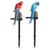 Outdoor Waterproof Led Solar Powered Parrot Garden Stakes Light For Patio Walkway Pathway Decorative Landscape Lamp