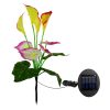 Outdoor Waterproof Garden Patio Path Pathway Decoration Stake Lamp Led Solar Calla Lily Flower Lawn Light