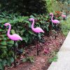 Outdoor Ip65 Waterproof Garden Flamingo Decorative Led Solar Powered Lawn Ground Stake Light For Park Pathway Walkway Decor