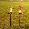 Outdoor Waterproof Led Solar Powered Parrot Garden Stakes Light For Patio Walkway Pathway Decorative Landscape Lamp