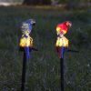 Outdoor Waterproof Led Solar Powered Parrot Garden Stakes Light For Patio Walkway Pathway Decorative Landscape Lamp