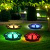 Solar Ladybug Butterfly Lights 3-in-1 Outdoor LED Cat Paw Bear Paw Stake Lights for Lawn and Garden