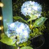 Realistic Hydrangea Solar Garden Stake Light Waterproof Outdoor LED Lawn Decor