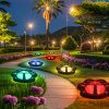 Solar Ladybug Butterfly Lights 3-in-1 Outdoor LED Cat Paw Bear Paw Stake Lights for Lawn and Garden