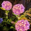 Realistic Hydrangea Solar Garden Stake Light Waterproof Outdoor LED Lawn Decor