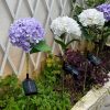 Realistic Hydrangea Solar Garden Stake Light Waterproof Outdoor LED Lawn Decor